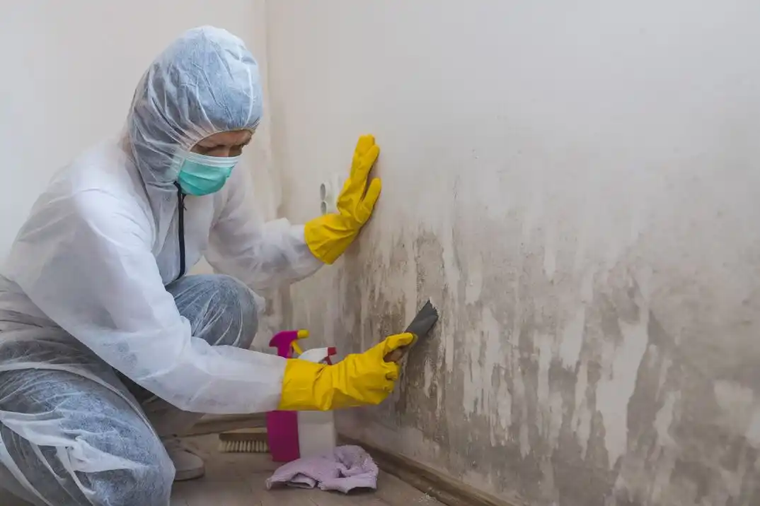 water damage restoration service Old Sevier